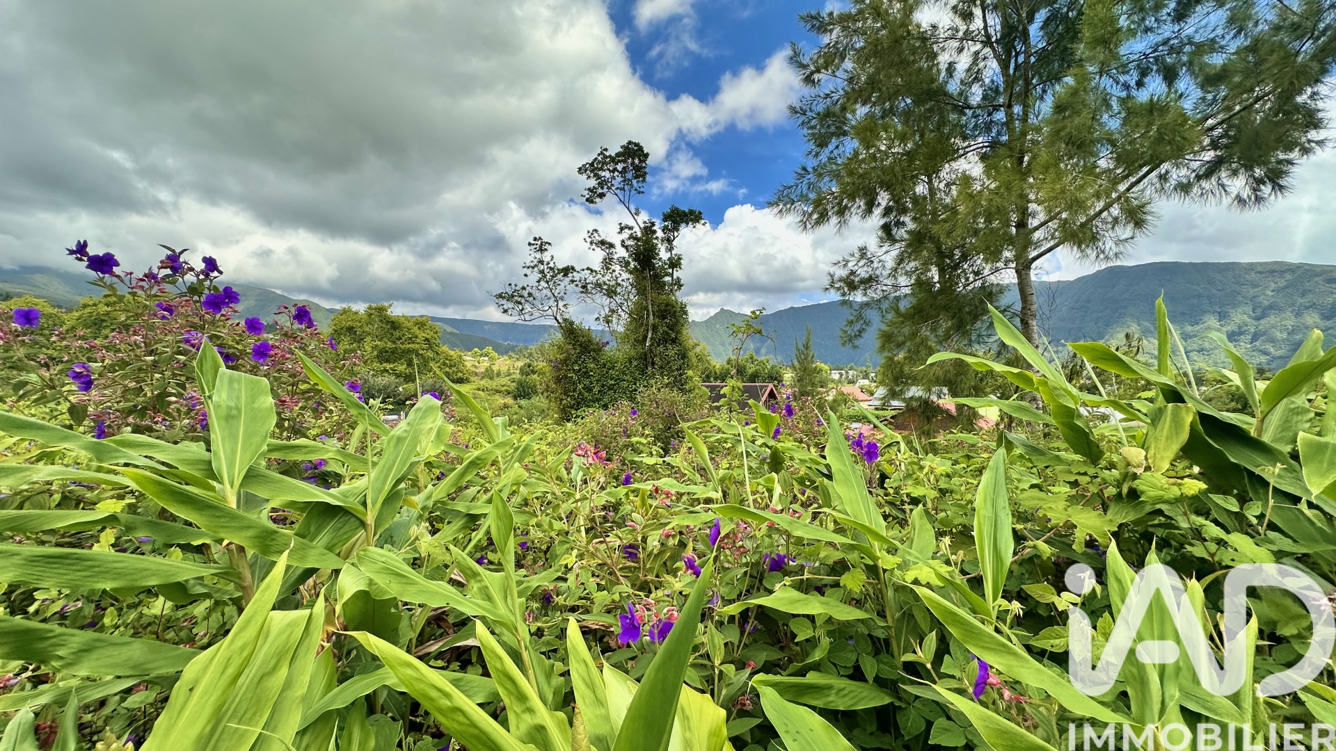 Vente Terrain à bâtir 1 090 m²