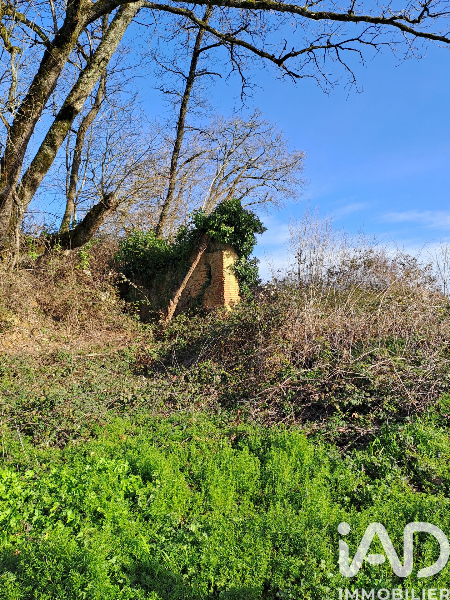 Vente Terrain agricole 97 607 m²