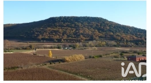 Vente maison à Fontès (34320) : maison de village 4 pièces 84 m² — 21