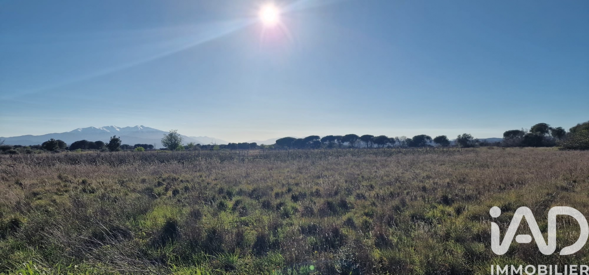Vente Terrain agricole 6 360 m²