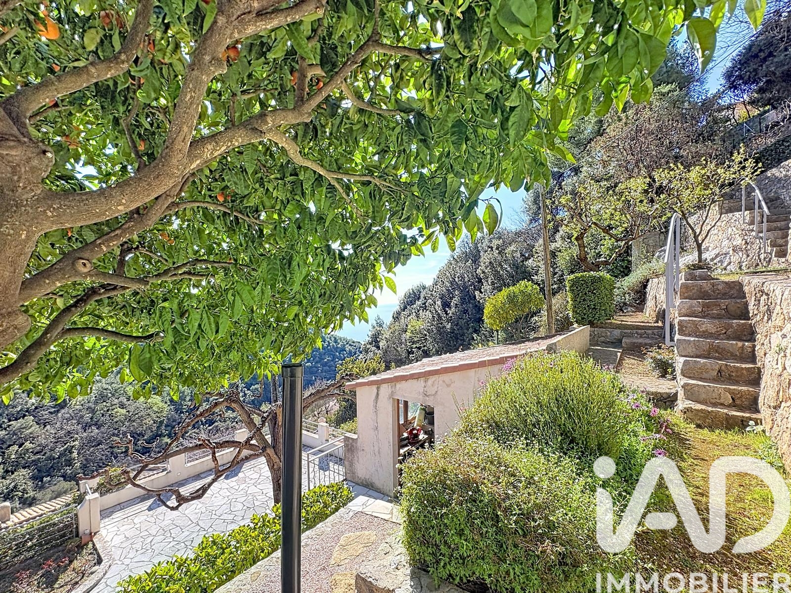Vente maison à Roquebrune-Cap-Martin (06190) : maison traditionnelle 5 pièces 214 m² - 1922398 — 14