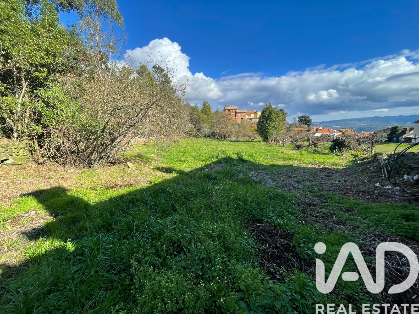 Moradia T4 à venda em Oliveira de Frades, Souto de Lafões e Sejães, Oliveira de Frades — foto 19