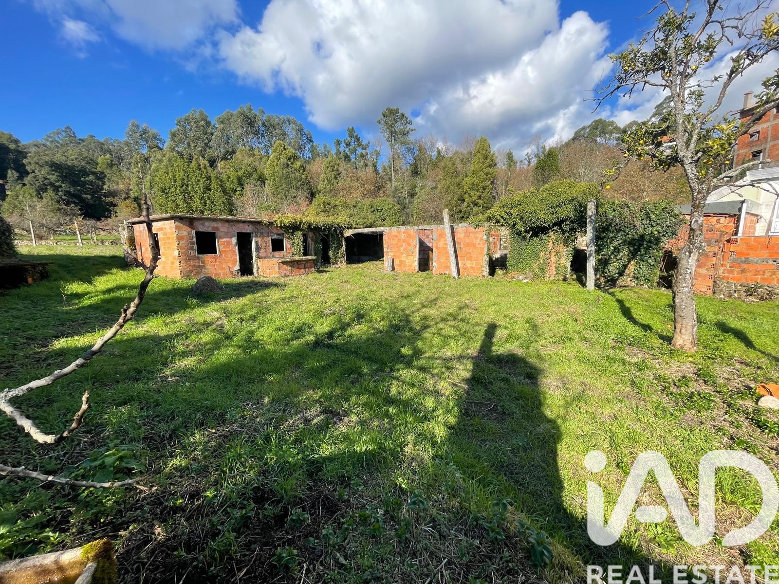 Moradia T4 à venda em Oliveira de Frades, Souto de Lafões e Sejães, Oliveira de Frades — foto 16