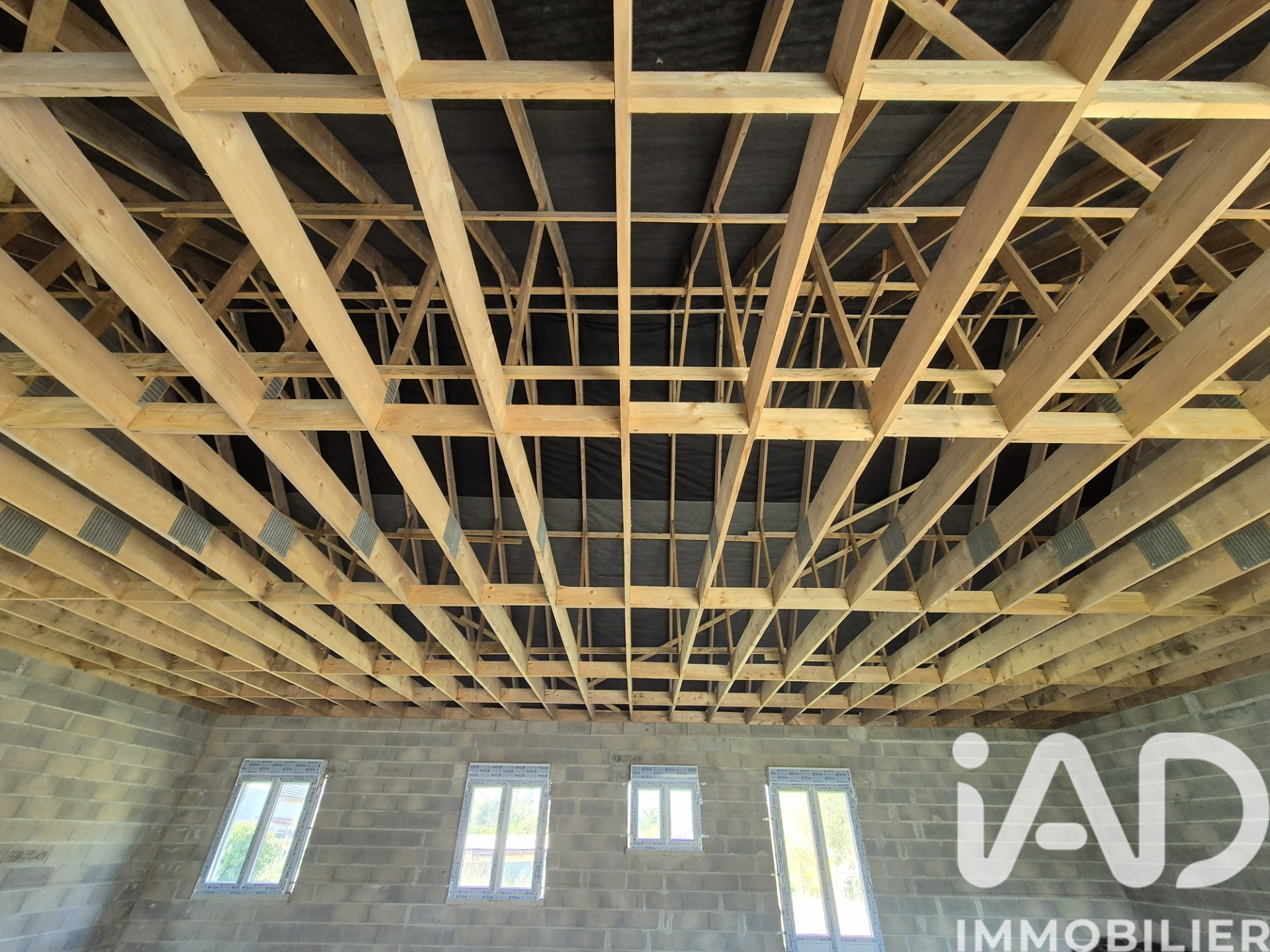 Vente maison à Brienon — 4