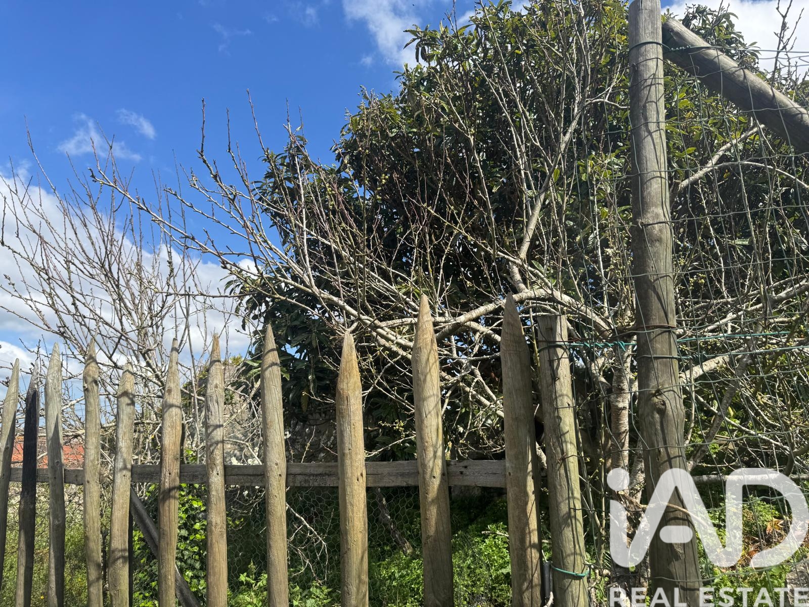 Moradia T0 à venda em Aljubarrota, Alcobaça — foto 9
