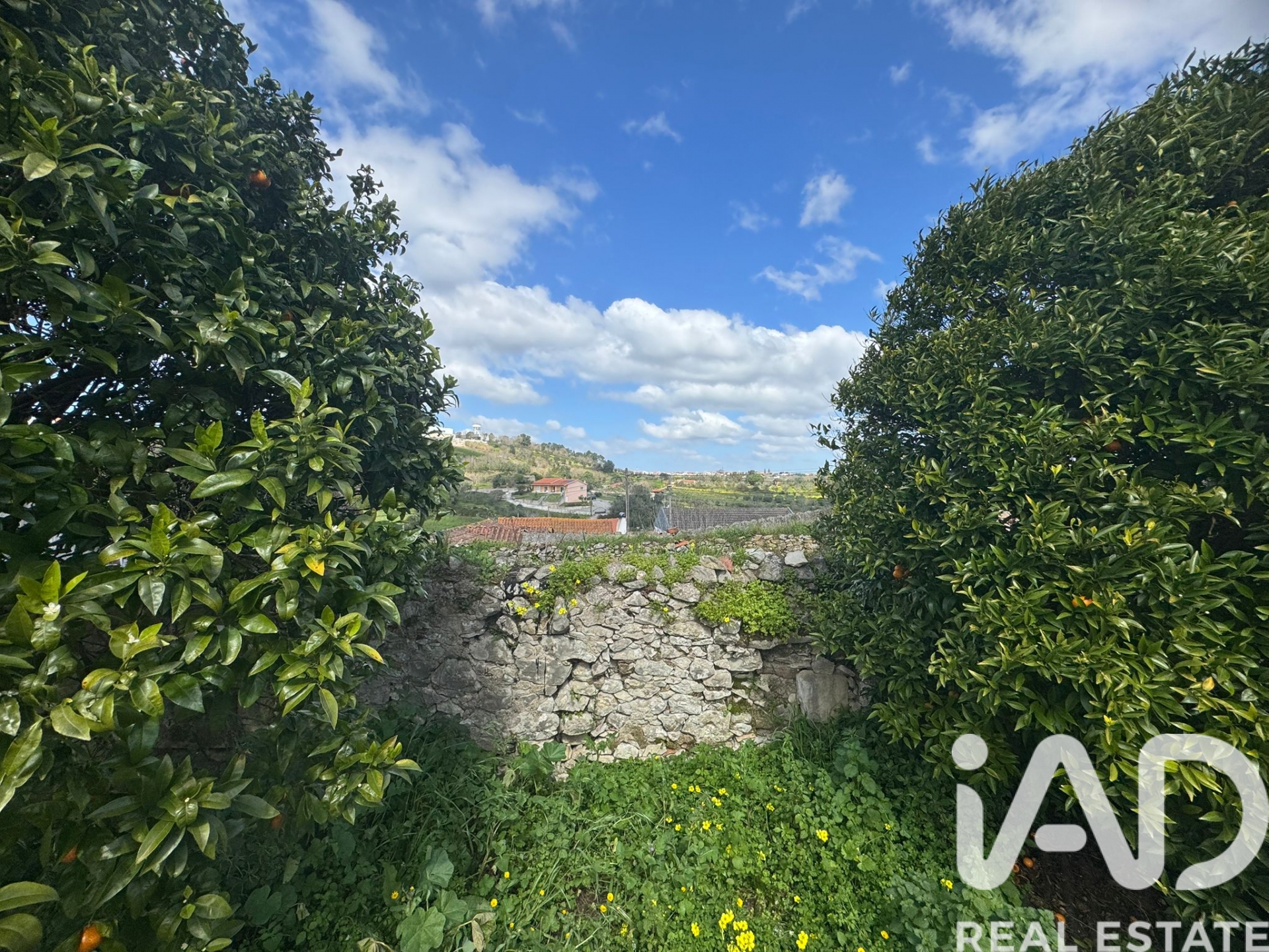 Moradia T0 à venda em Aljubarrota, Alcobaça — foto 11