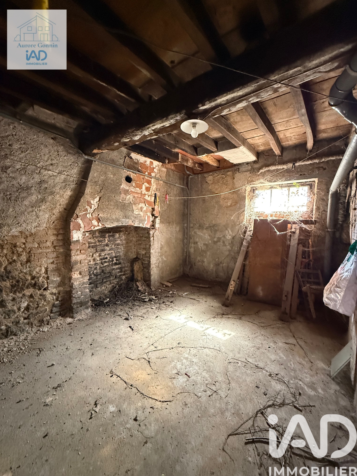 Vente maison à Lucenay — 11