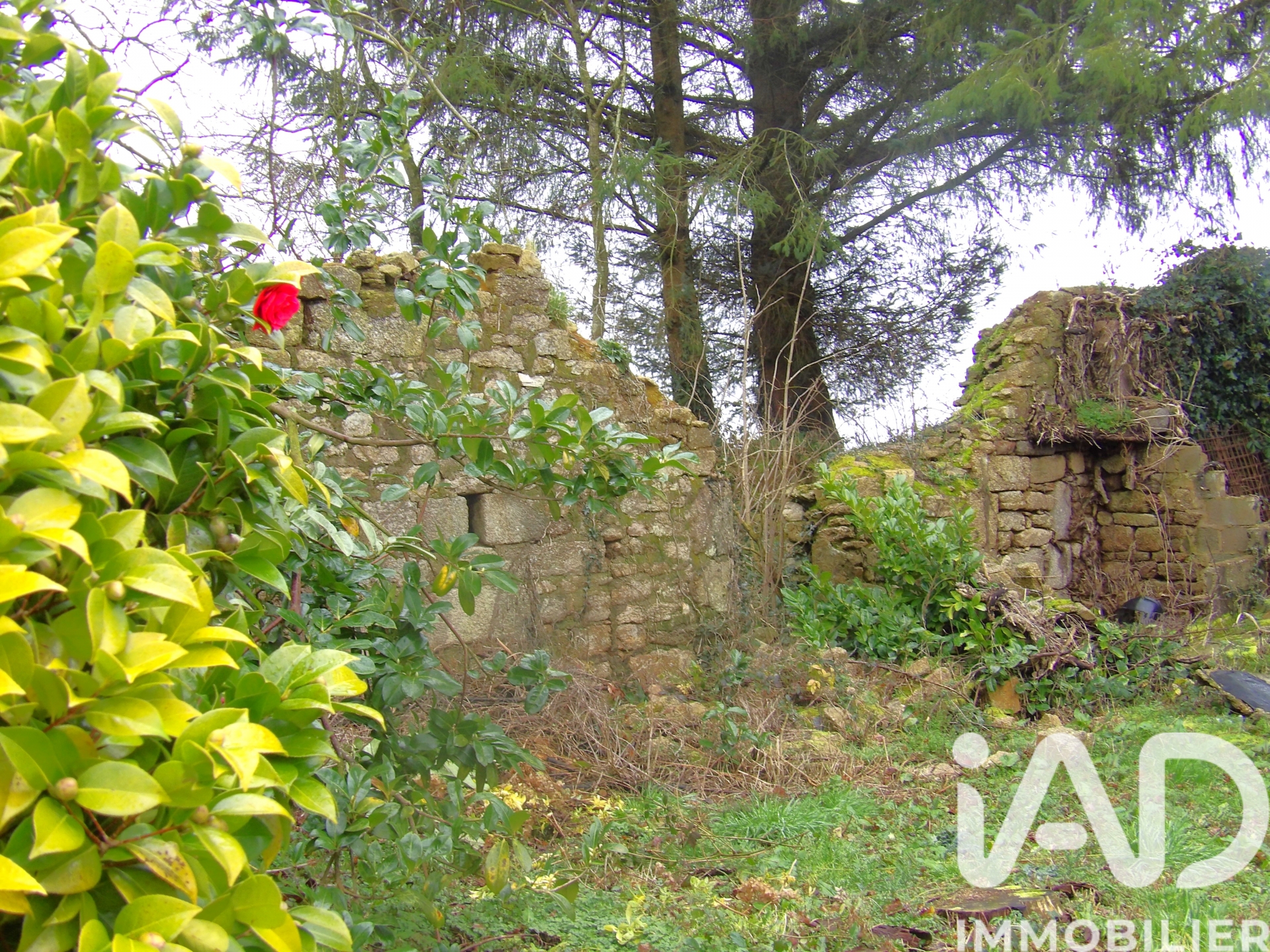 Vente maison à Bourbriac (22390) : longère 3 pièces 36 m² — 12