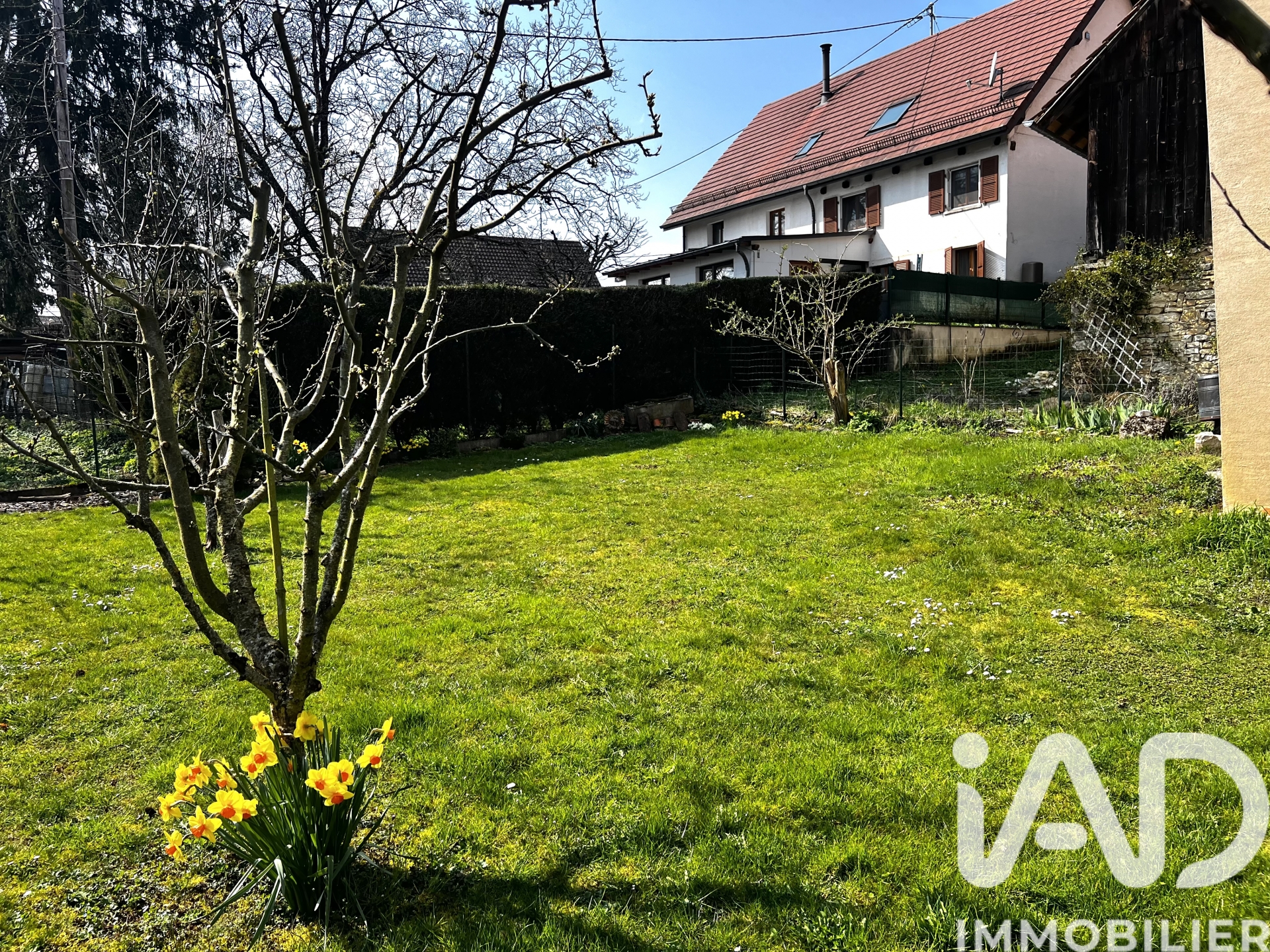 Vente maison à Sondersdorf (68480) : maison traditionnelle 4 pièces 90 m² — 5