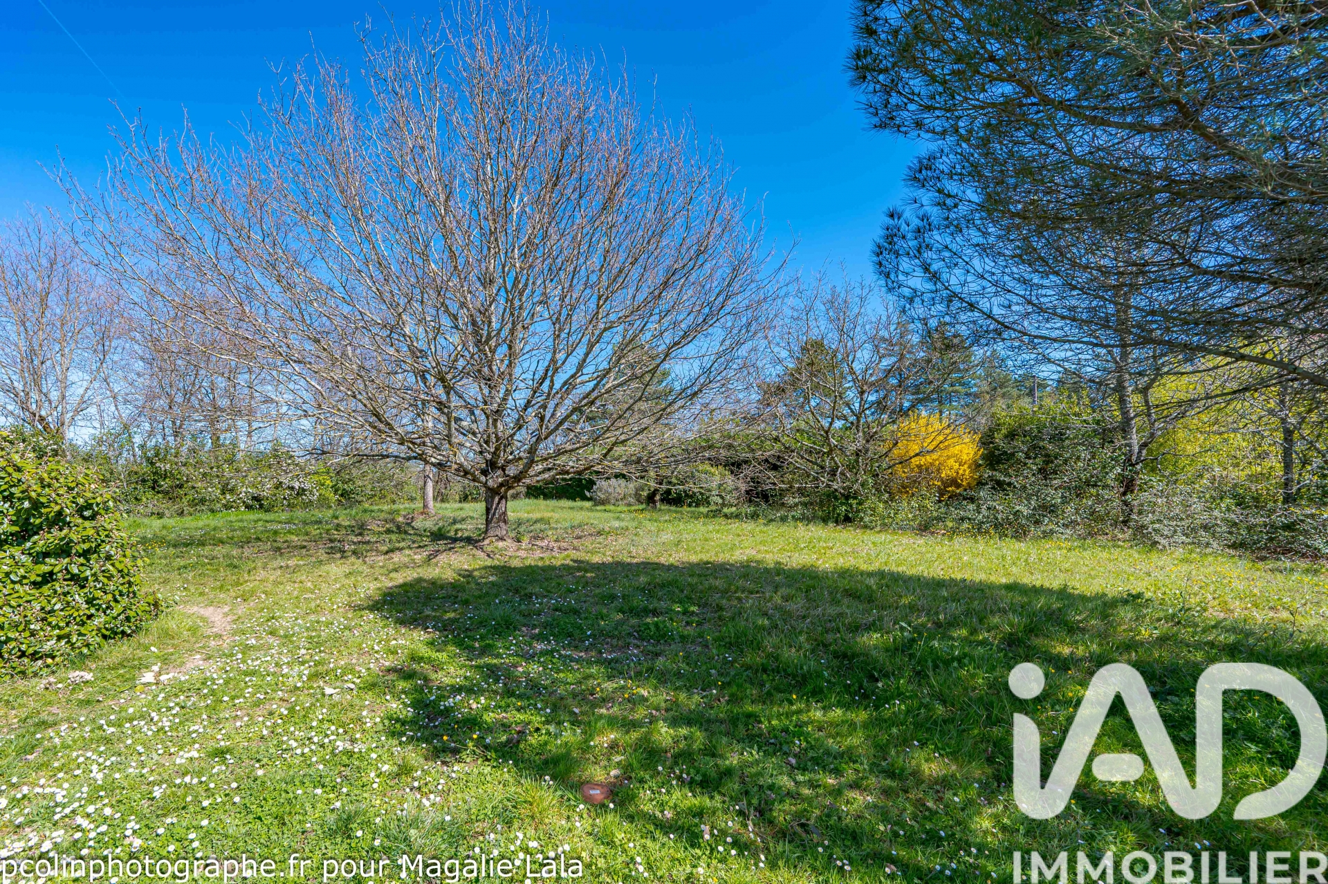 Vente Terrain à bâtir 950 m²