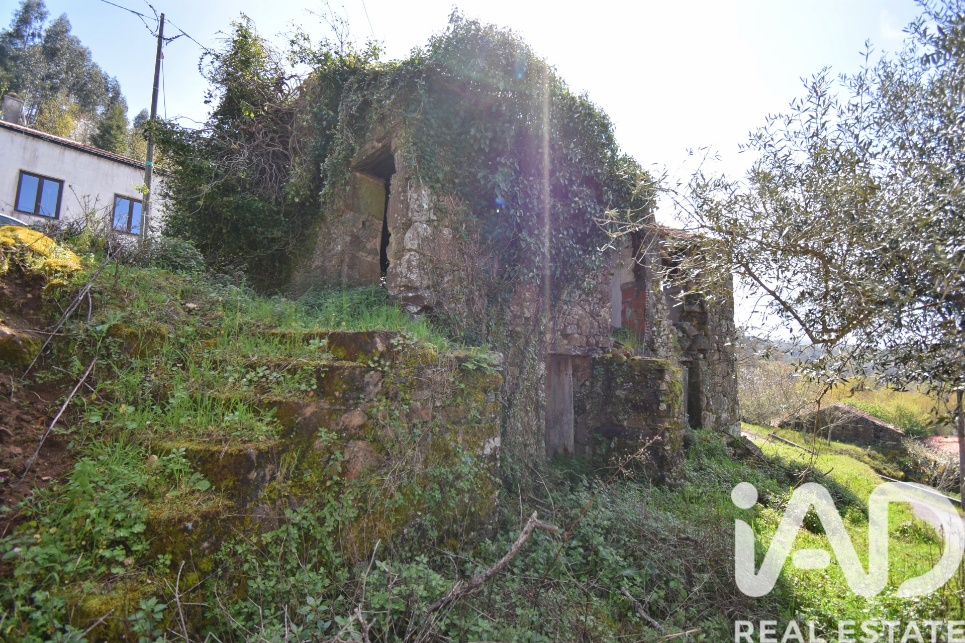 Moradia T0 à venda em Vila Nova, Miranda do Corvo — foto 13