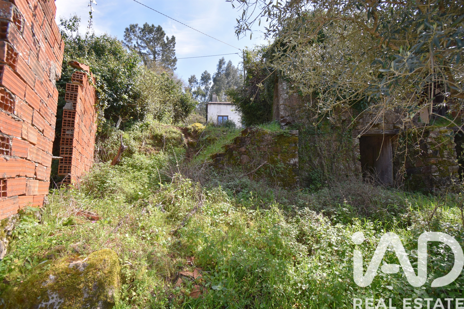 Moradia T0 à venda em Vila Nova, Miranda do Corvo — foto 8
