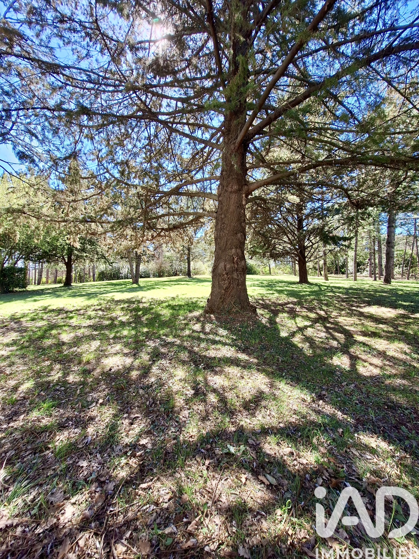 Vente maison à Monteils (30360) : demeure 6 pièces 205 m² — 11