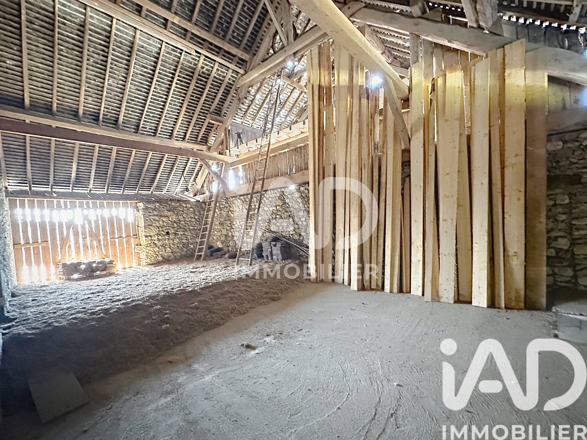 Vente maison à La Balme — 4