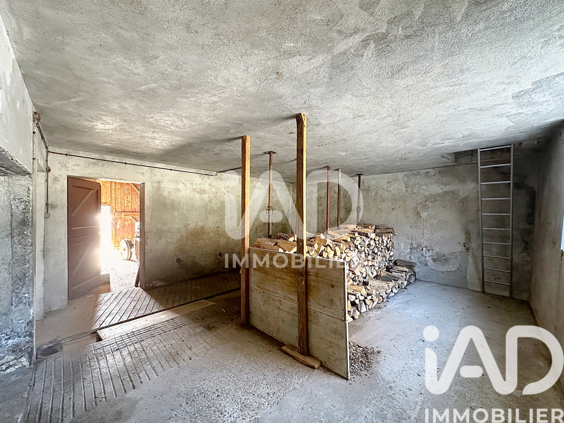 Vente maison à La Balme — 13