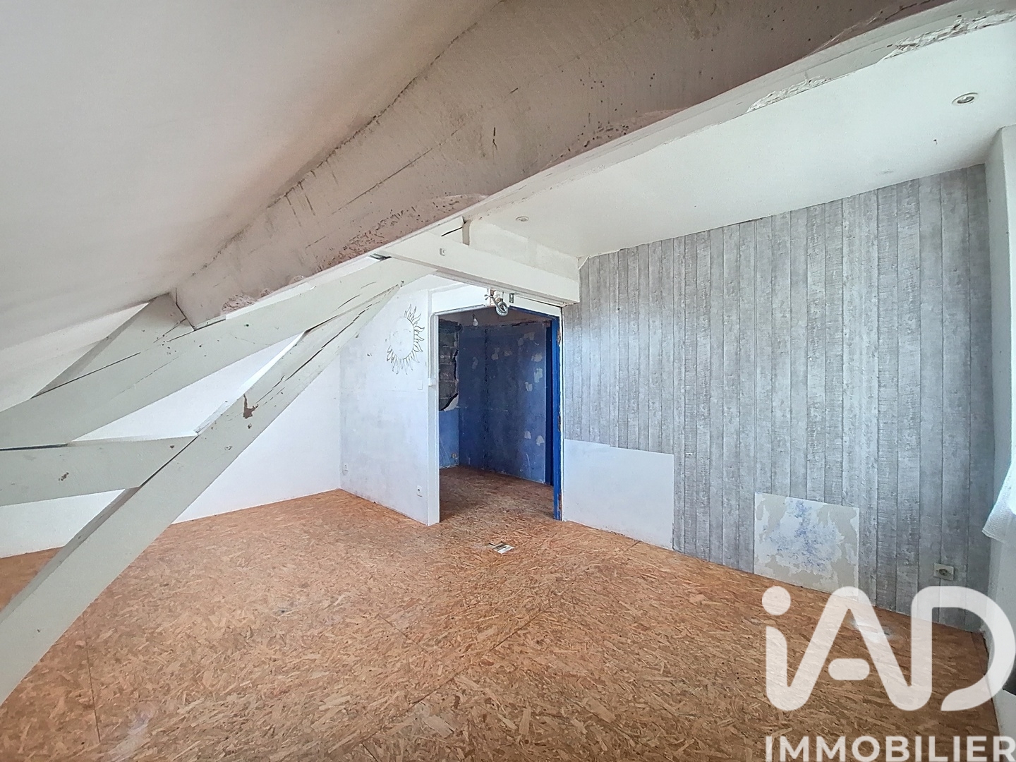 Vente maison à Vieilles — 11
