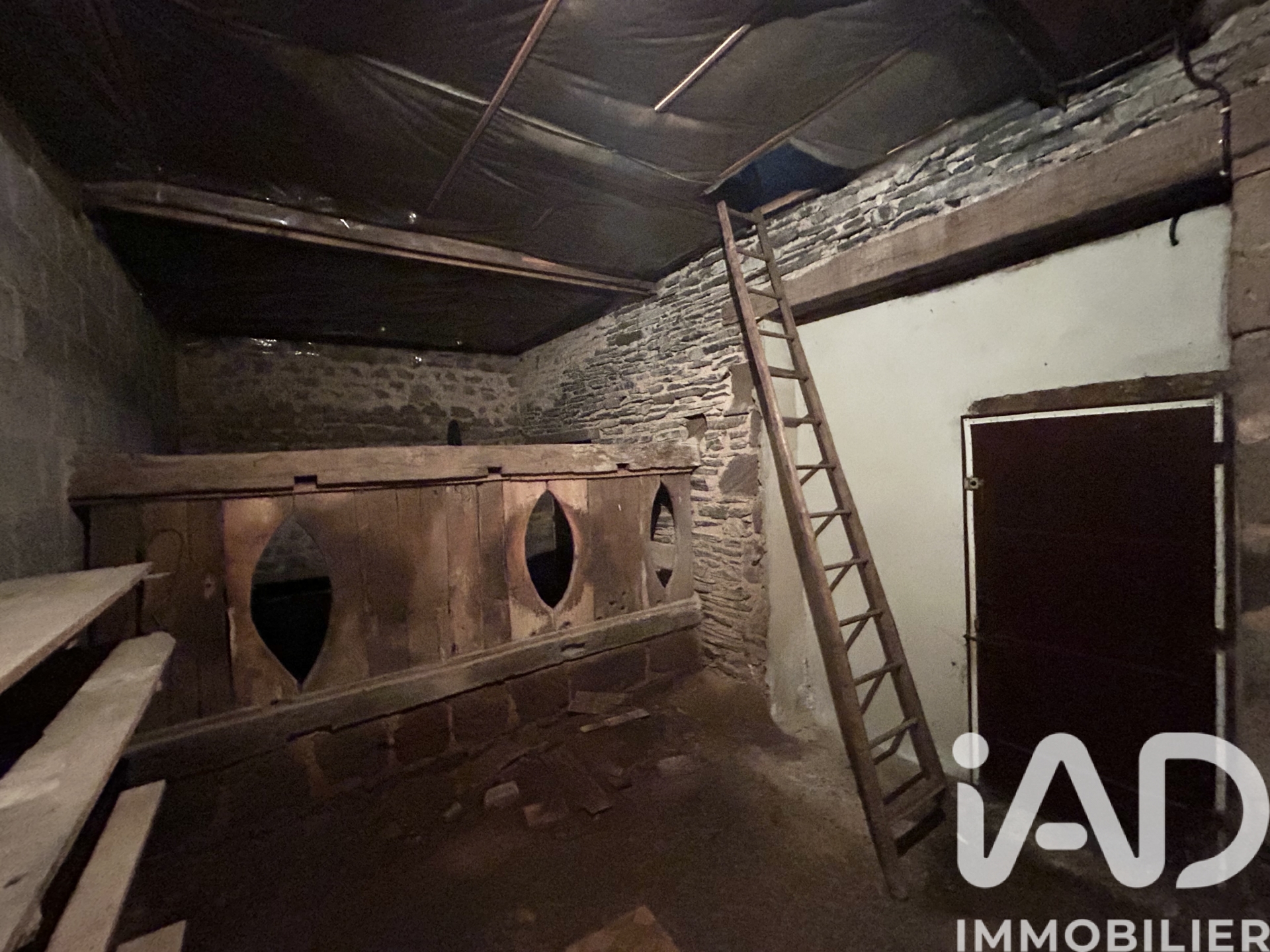 Vente maison à Saint — 22