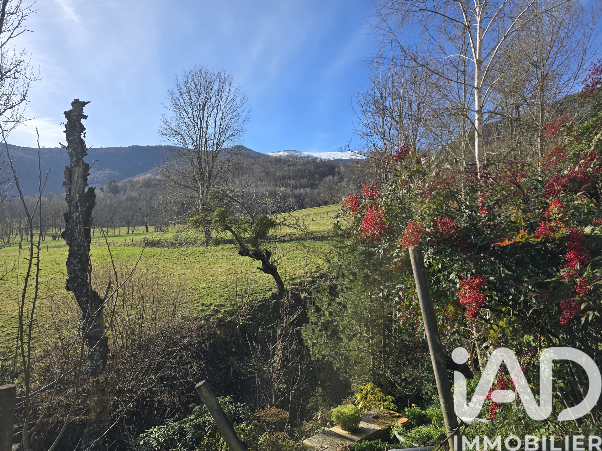 Vente maison à Brassac (09000) : maison 6 pièces 153 m² - 1989683 — 20