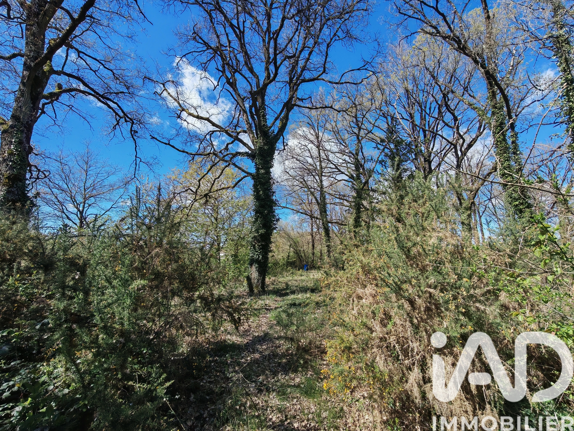Vente Terrain 1 830 m²