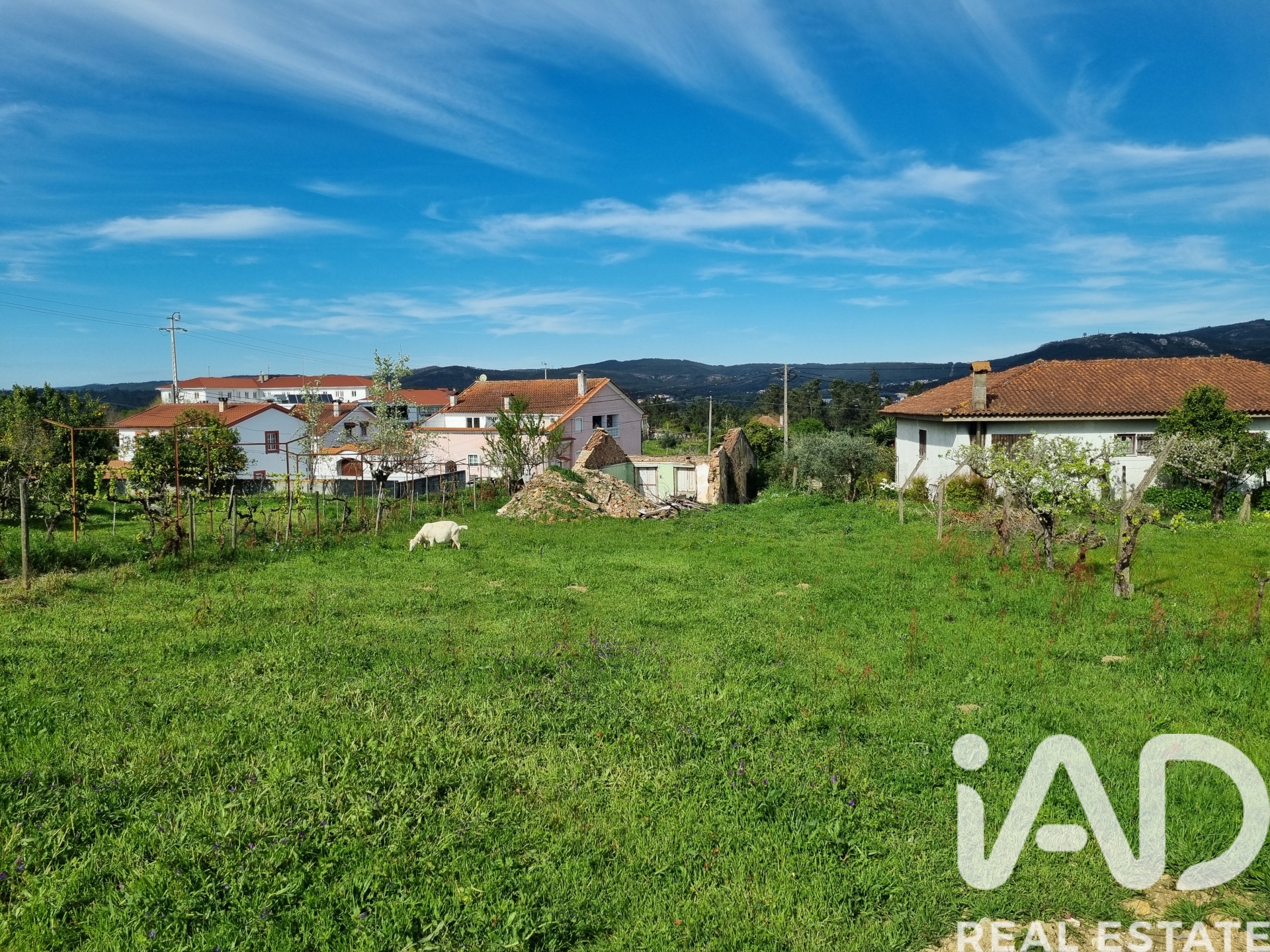 Moradia T0 à venda em Poiares, Vila Nova de Poiares — foto 29