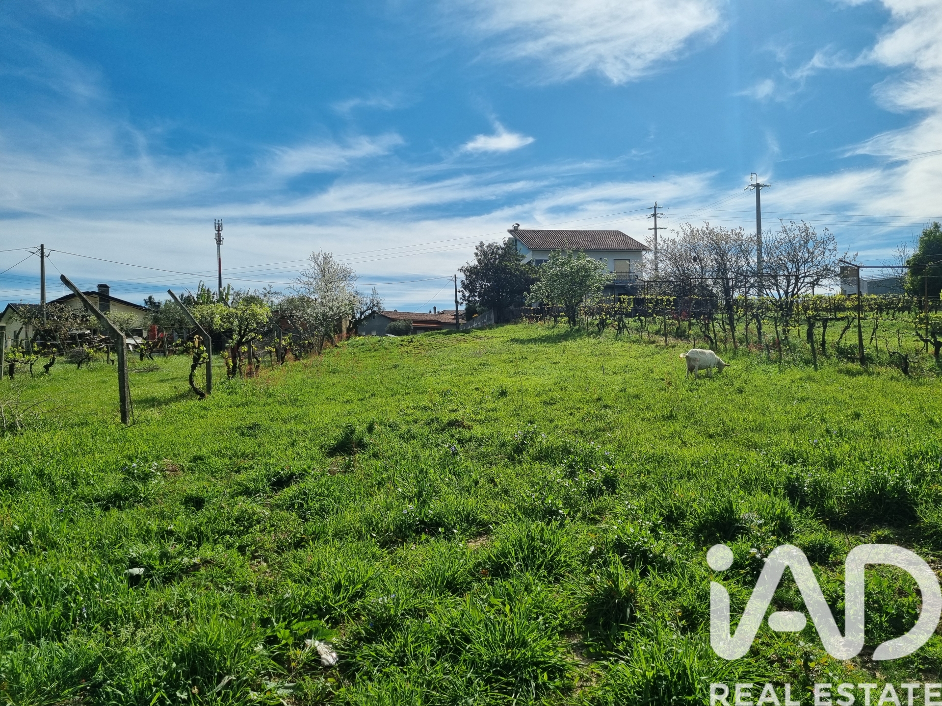 Moradia T0 à venda em Poiares, Vila Nova de Poiares — foto 14