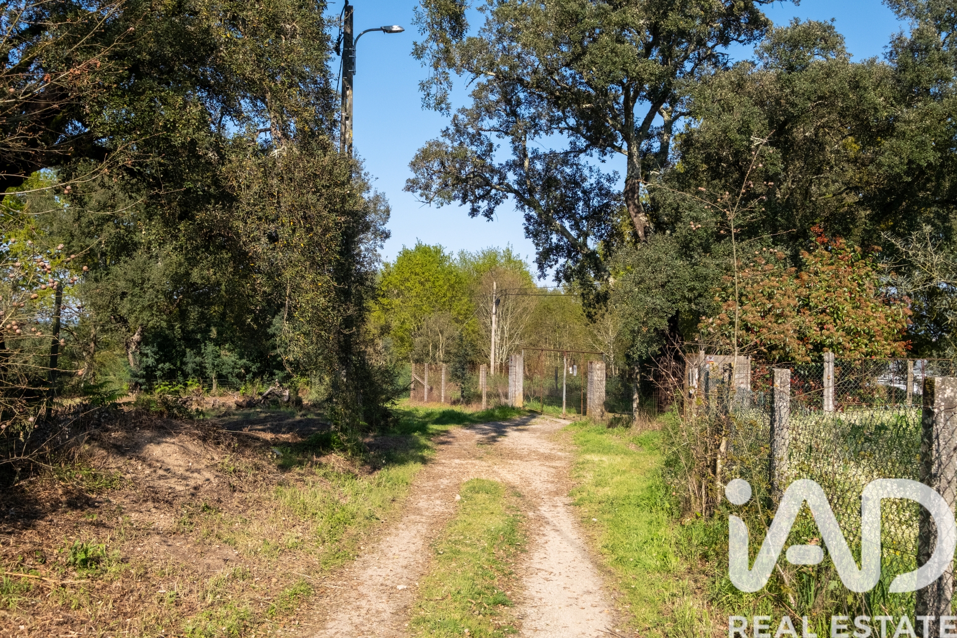 Terreno  em Santa Comba Dao