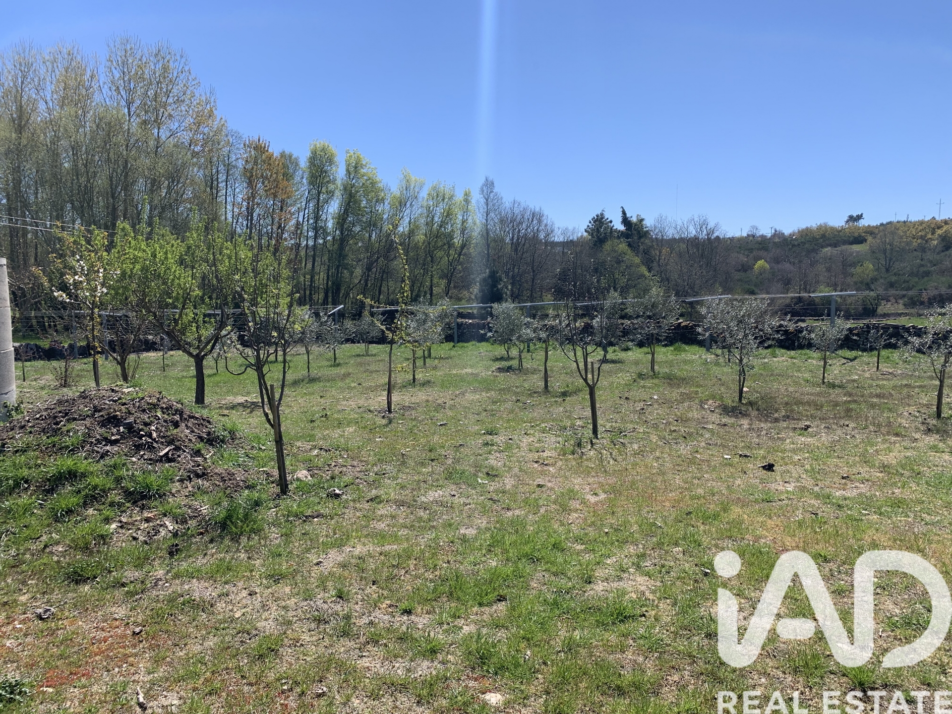 Moradia T0 à venda em Vila Chã, Alijó — foto 17