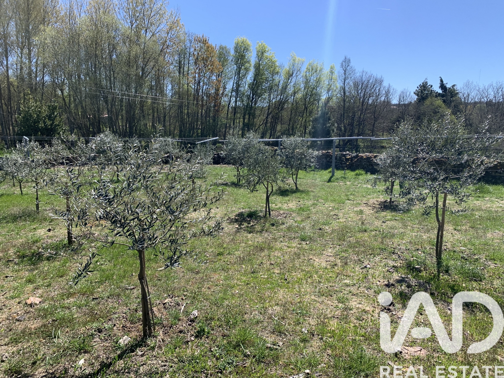 Moradia T0 à venda em Vila Chã, Alijó — foto 27