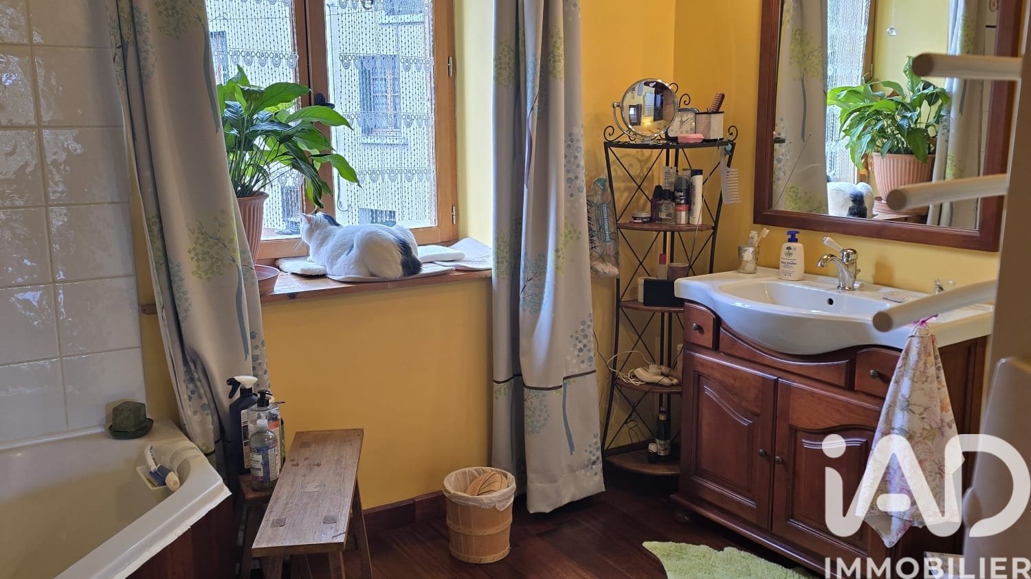 Vente maison à Brassac (09000) : maison 6 pièces 153 m² - 1989683 — 16