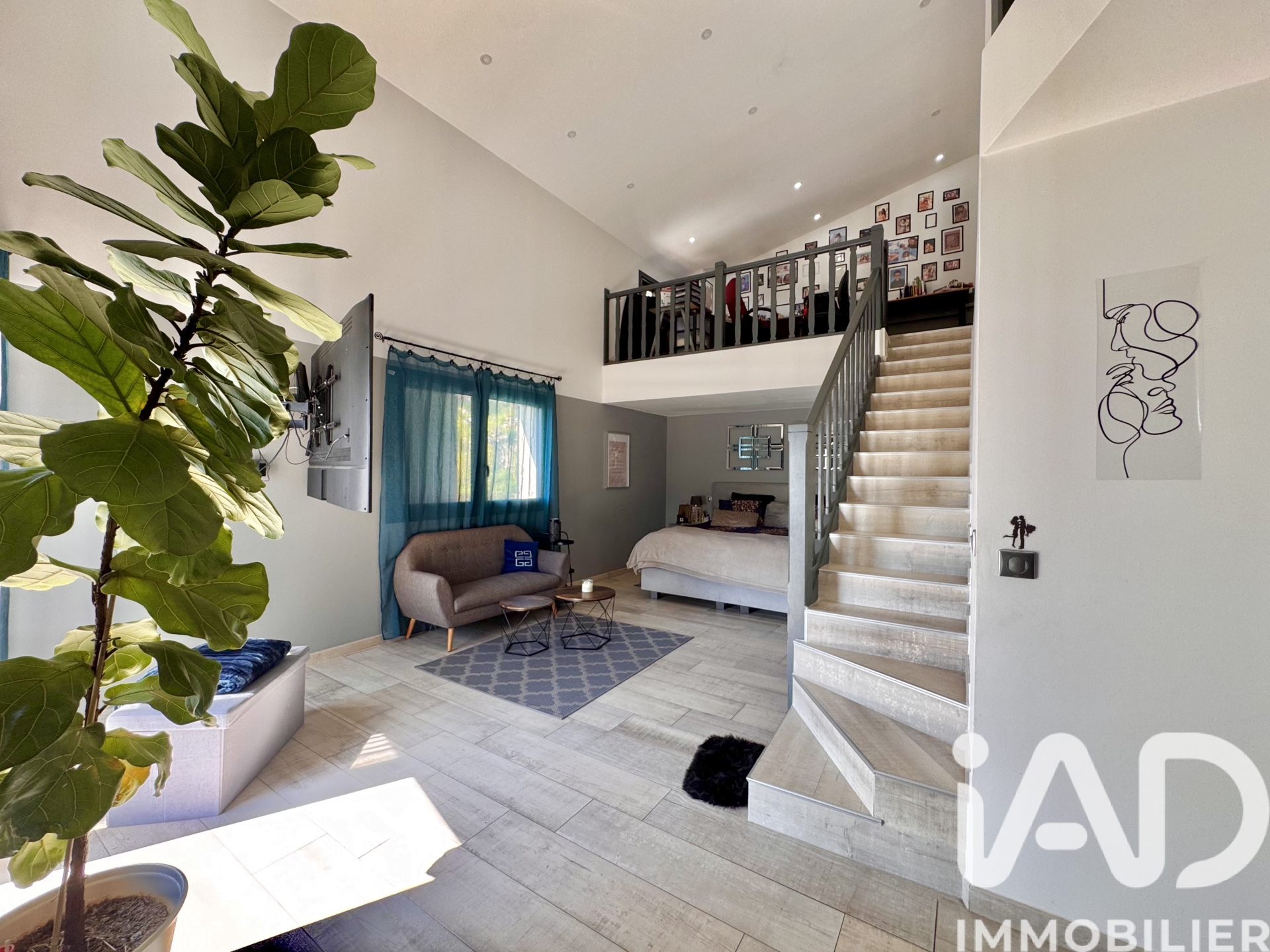 Vente maison à Mandelieu-la-Napoule (06210) : maison traditionnelle 10 pièces 345 m² - 1991302 — 12