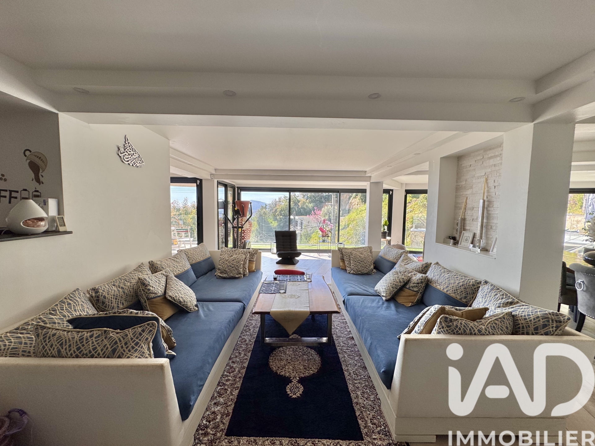 Vente maison à Mandelieu-la-Napoule (06210) : maison traditionnelle 10 pièces 345 m² - 1991302 — 10