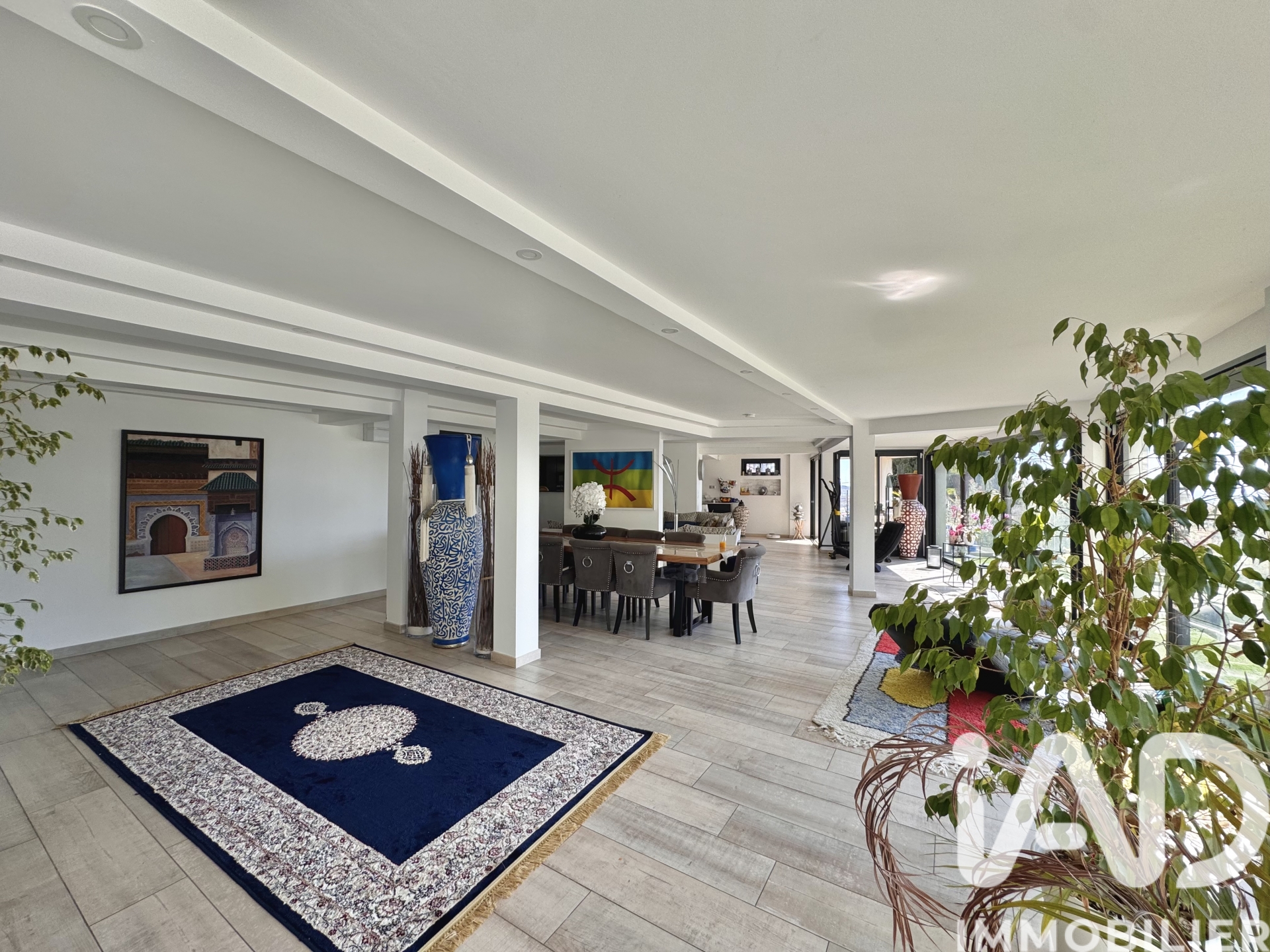 Vente maison à Mandelieu-la-Napoule (06210) : maison traditionnelle 10 pièces 345 m² - 1991302 — 8