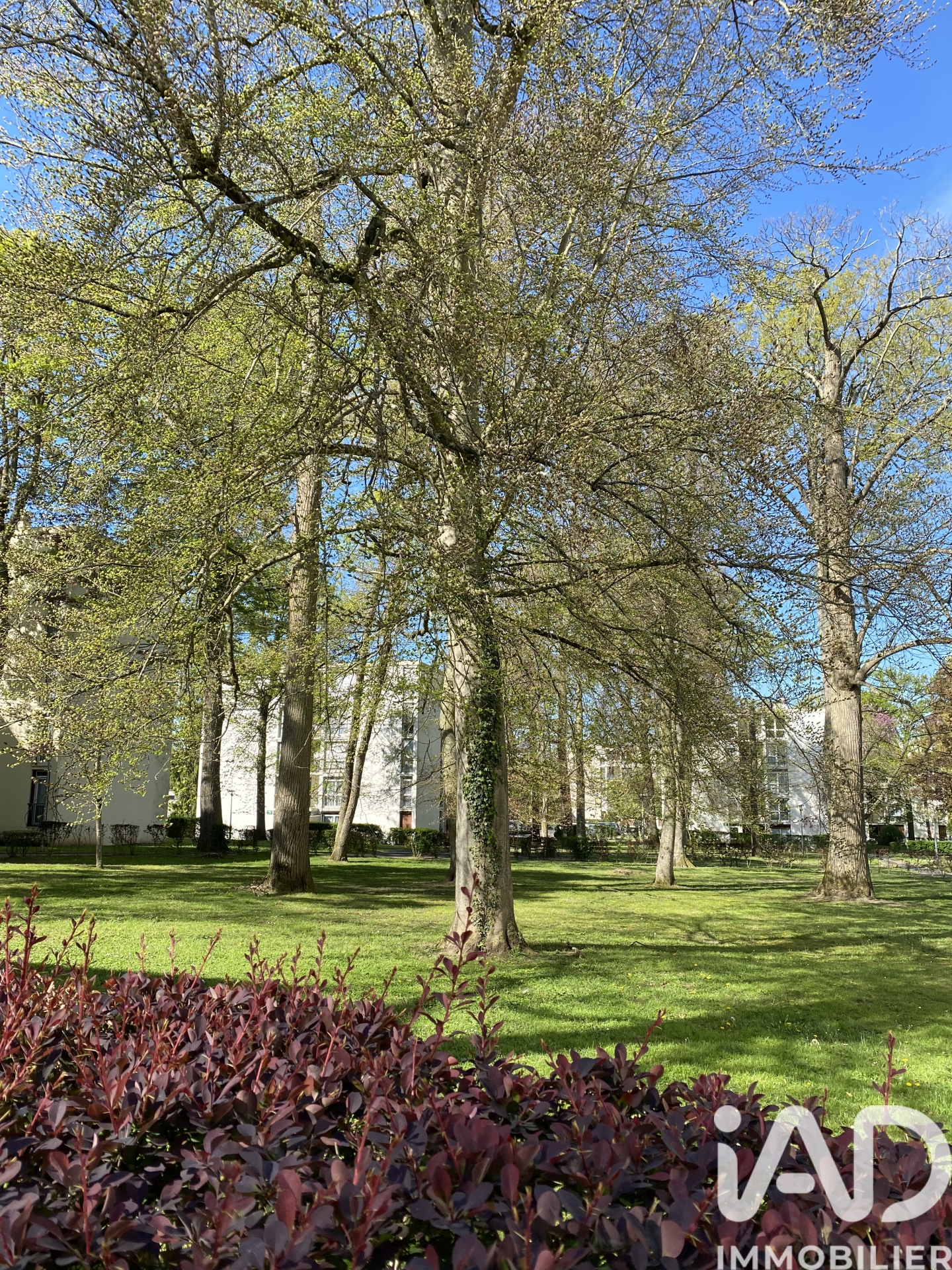 Vente appartement à Avon (77210) : appartement 3 pièces 61 m² - 1994239 — 14