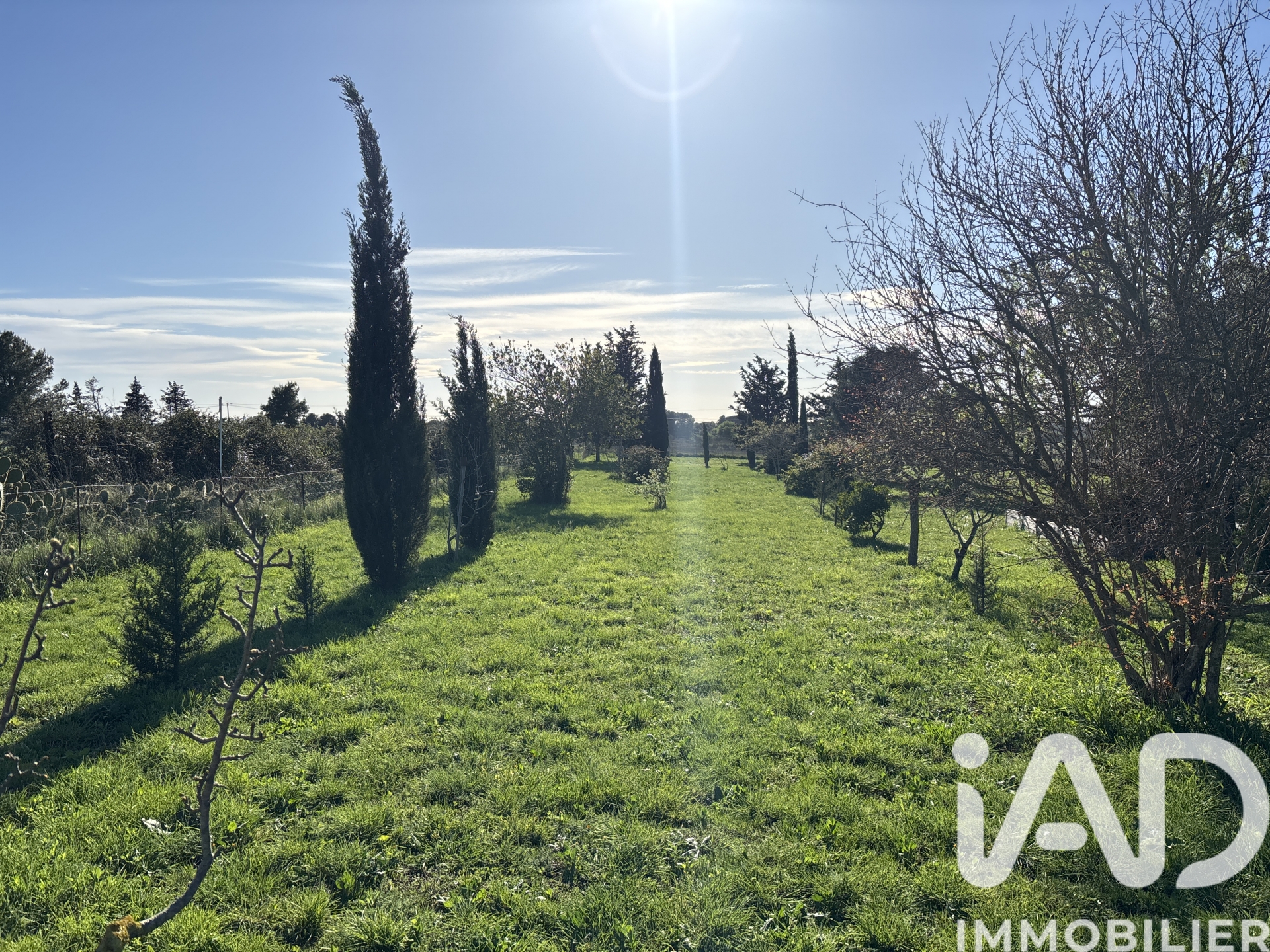 Vente maison à Loupian (34140) : longère 6 pièces 122 m² - 1977275 — 14