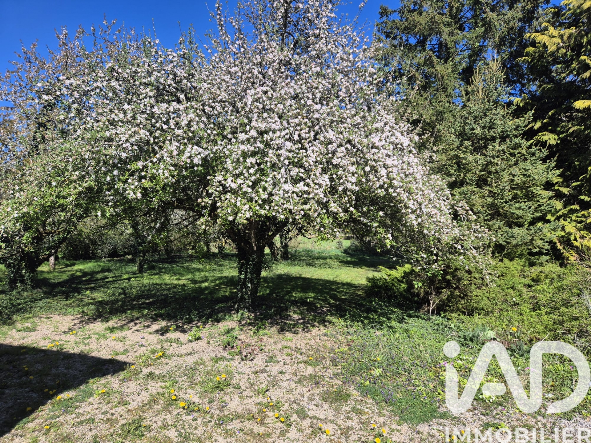 Vente maison à Maraye — 20