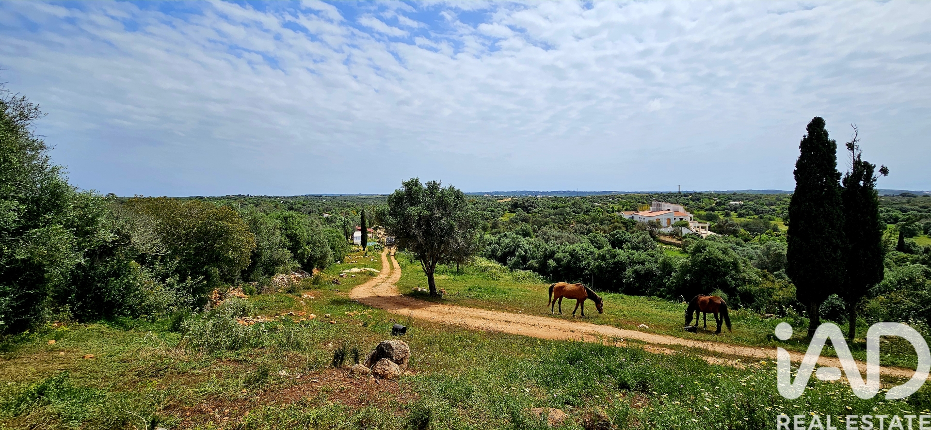 Land em Barão de São Miguel 