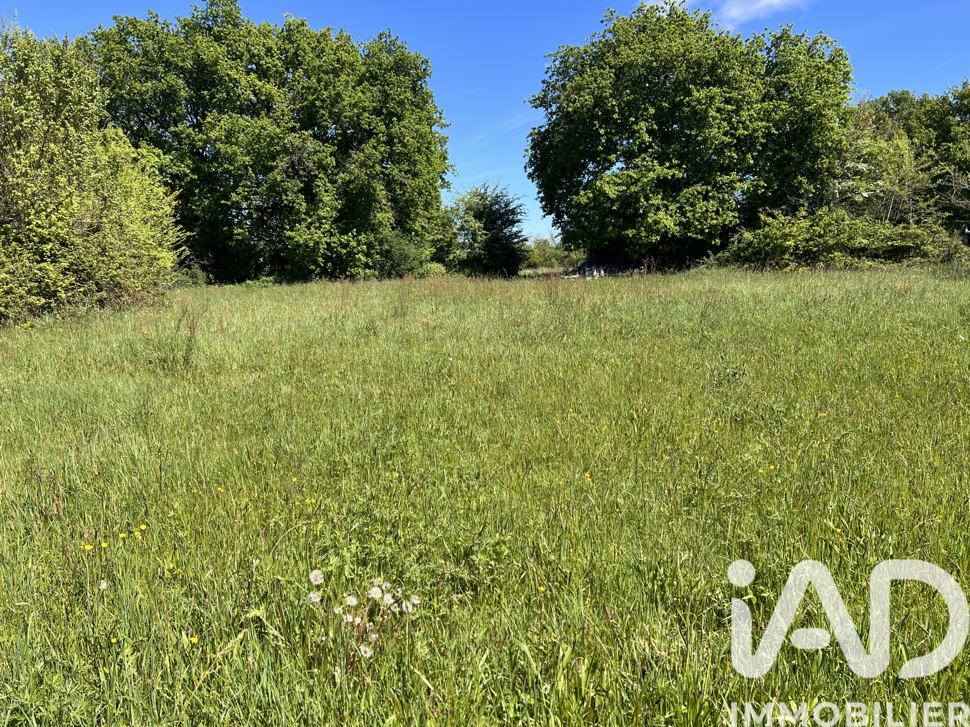 Vente Terrain à bâtir 2 685 m&sup2;