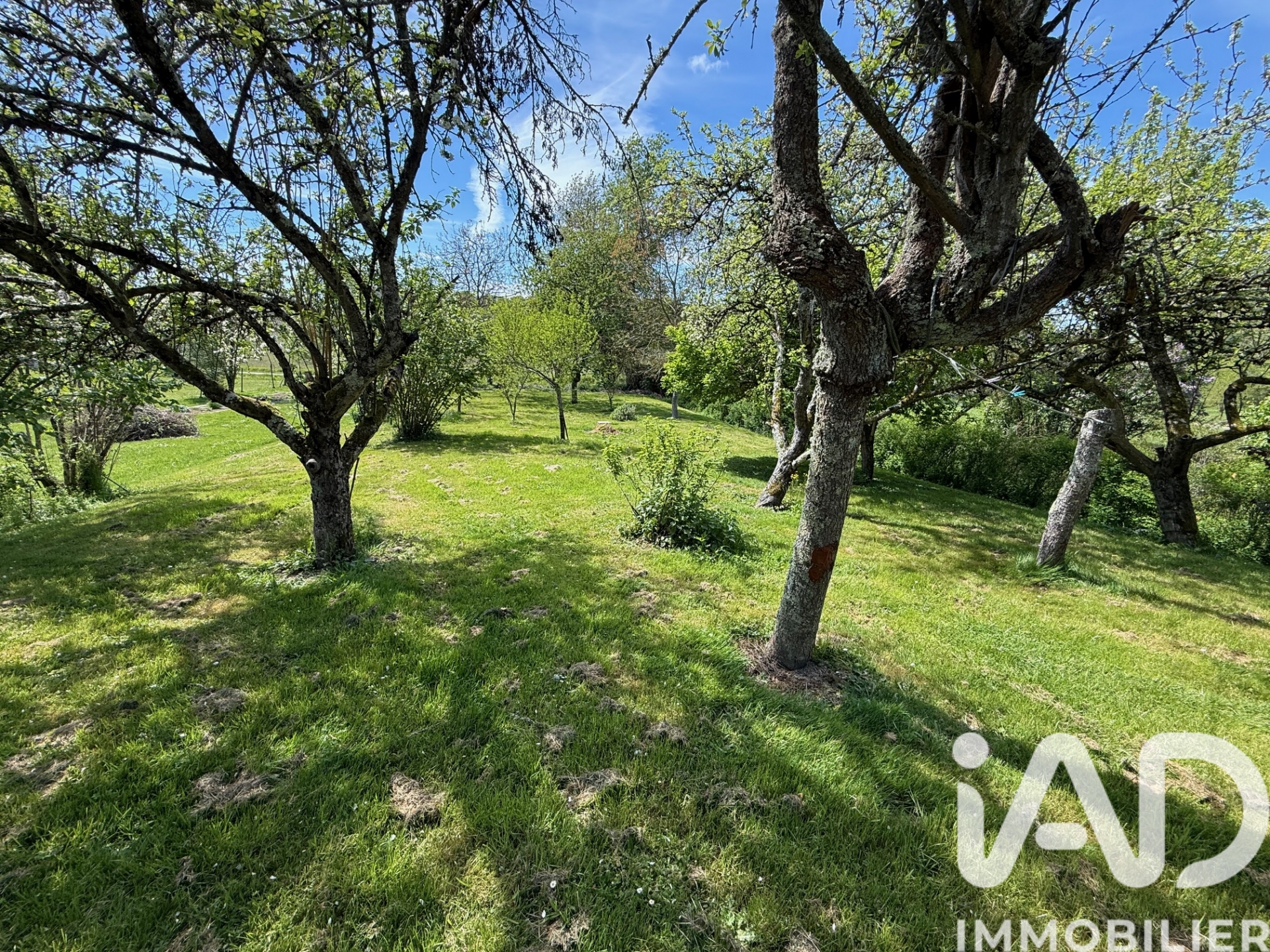 Vente maison à Vernou-sur-Brenne (37210) : longère 5 pièces 129 m² - 2108496 — 16