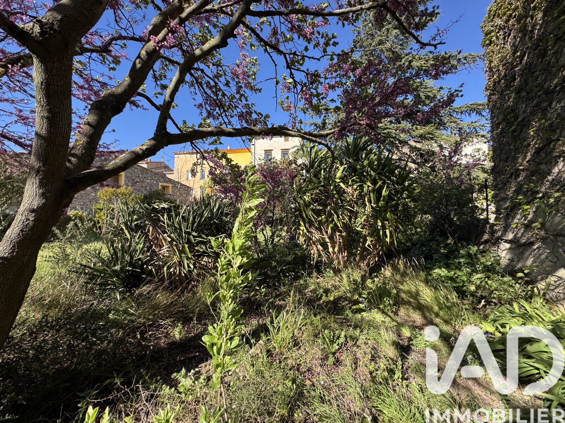 Vente maison à Tuchan (11350) : maison de village 5 pièces 107 m² — 16