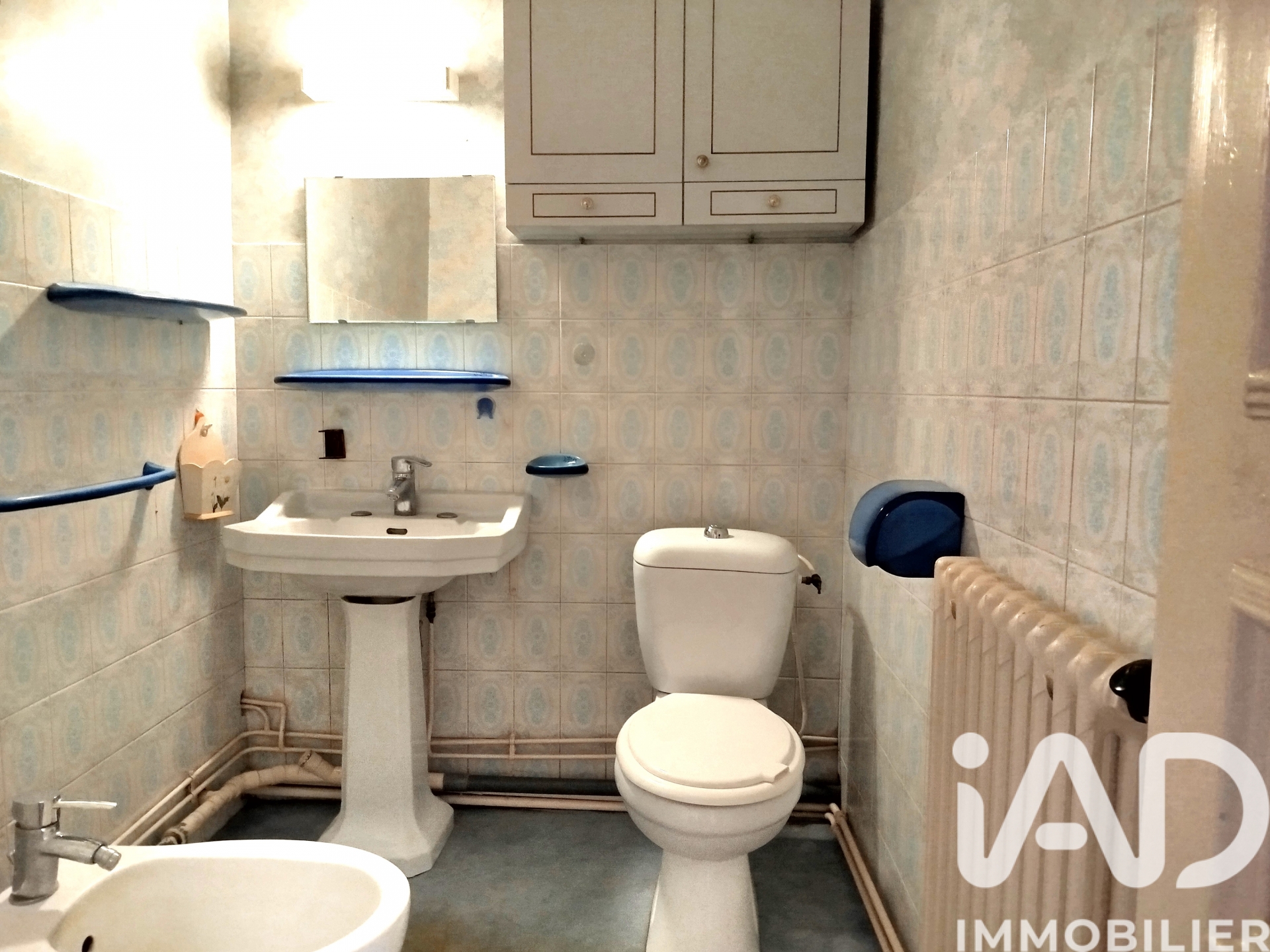 Vente maison à Chinon (37500) : maison traditionnelle 7 pièces 180 m² — 18