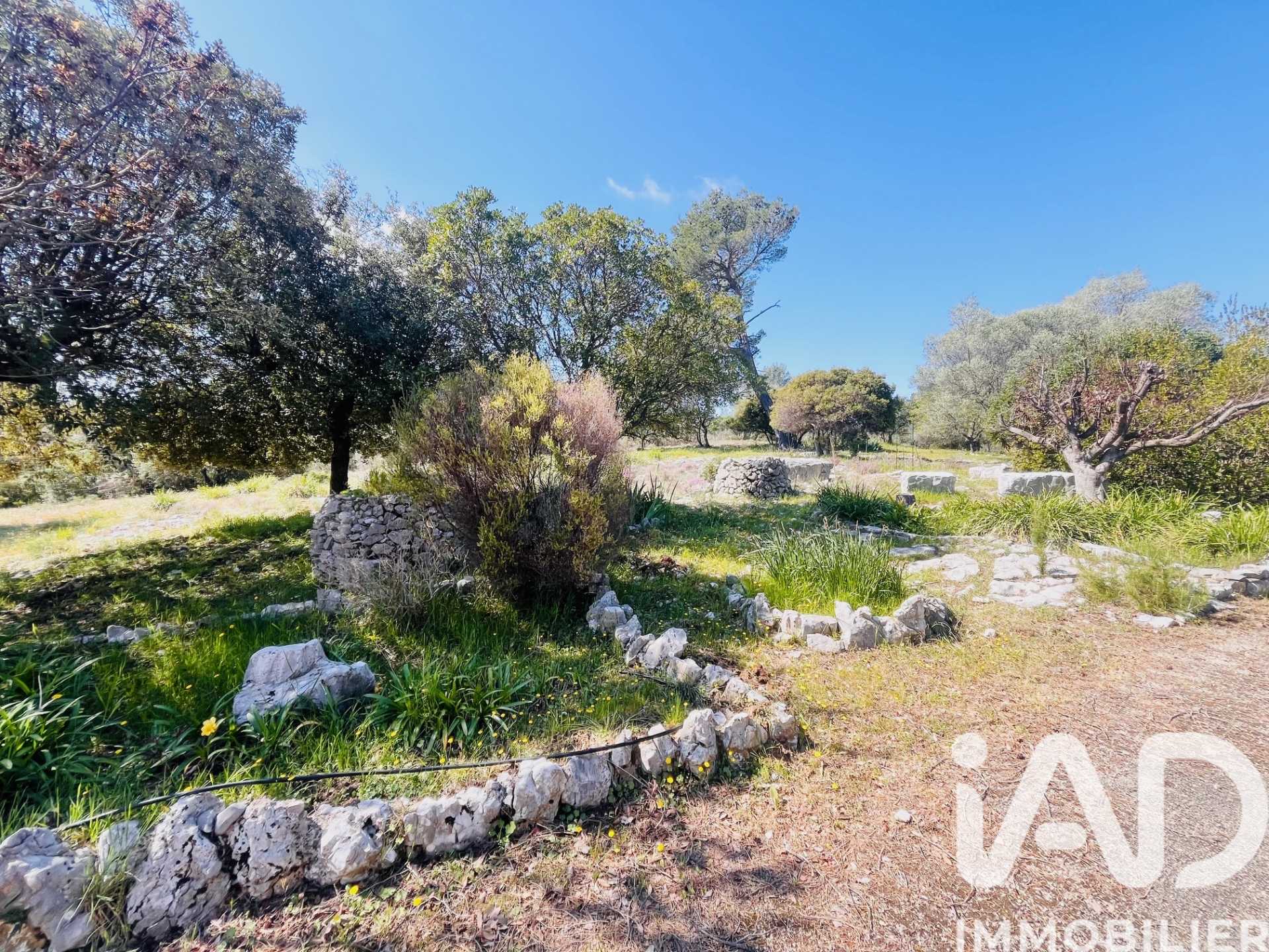 Vente maison à Roquefort — 21