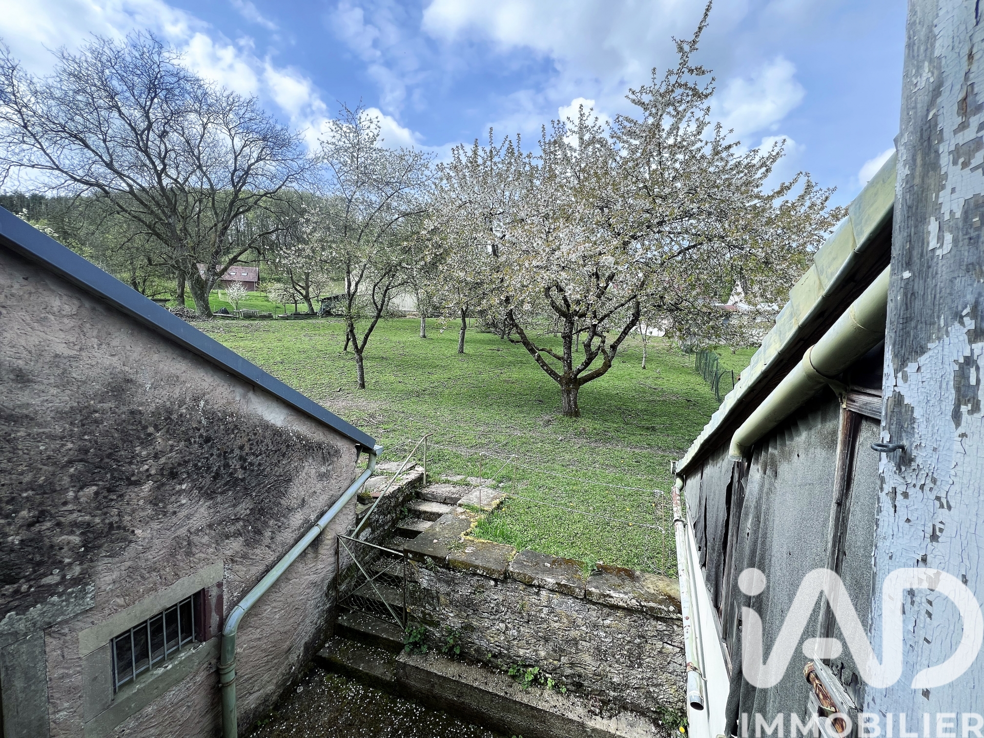 Vente maison à Thal — 18