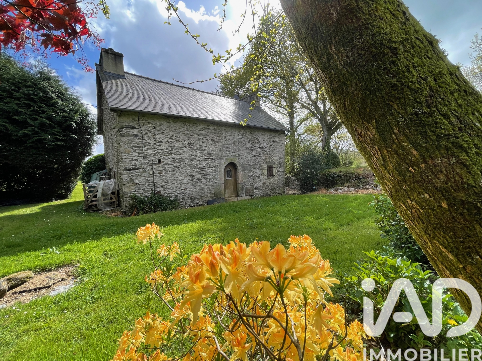 Vente maison à Brasparts (29190) : maison 5 pièces 71 m² - 1995501 — 22