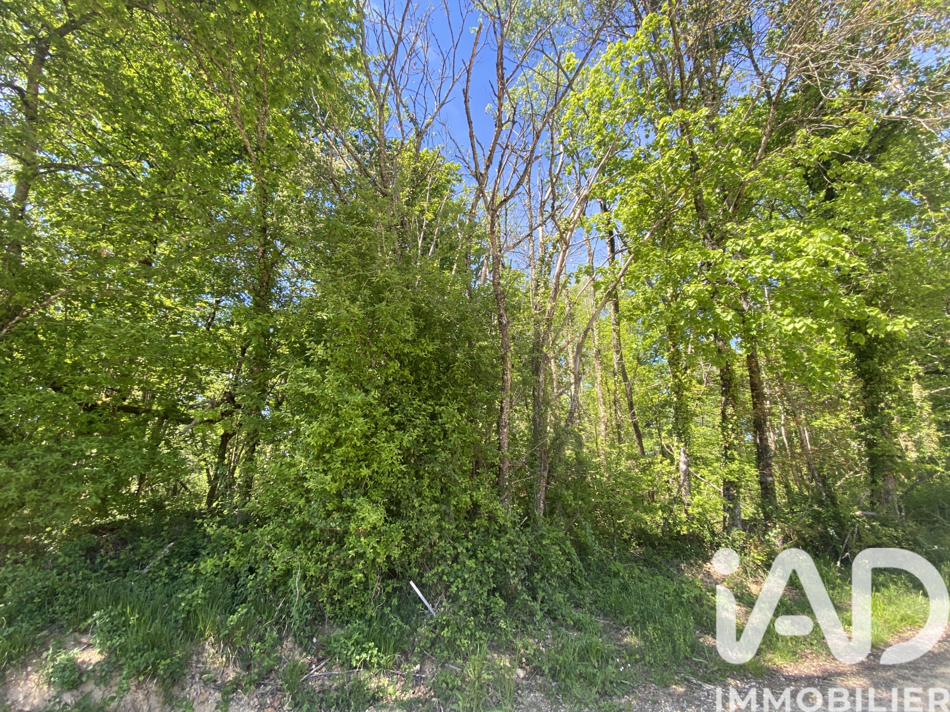 Vente Terrain 2 692 m&sup2;