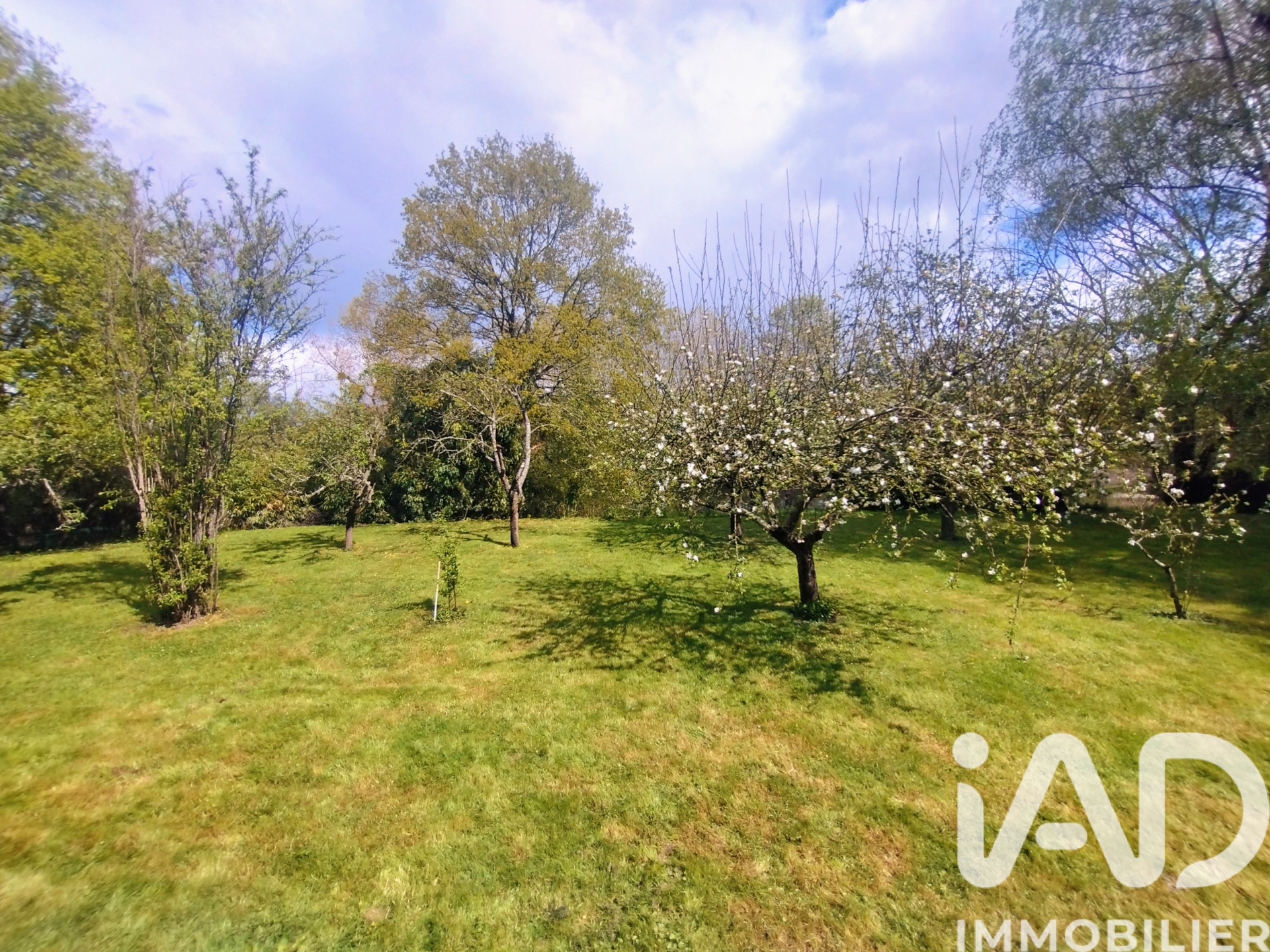 Vente maison à Assé — 19