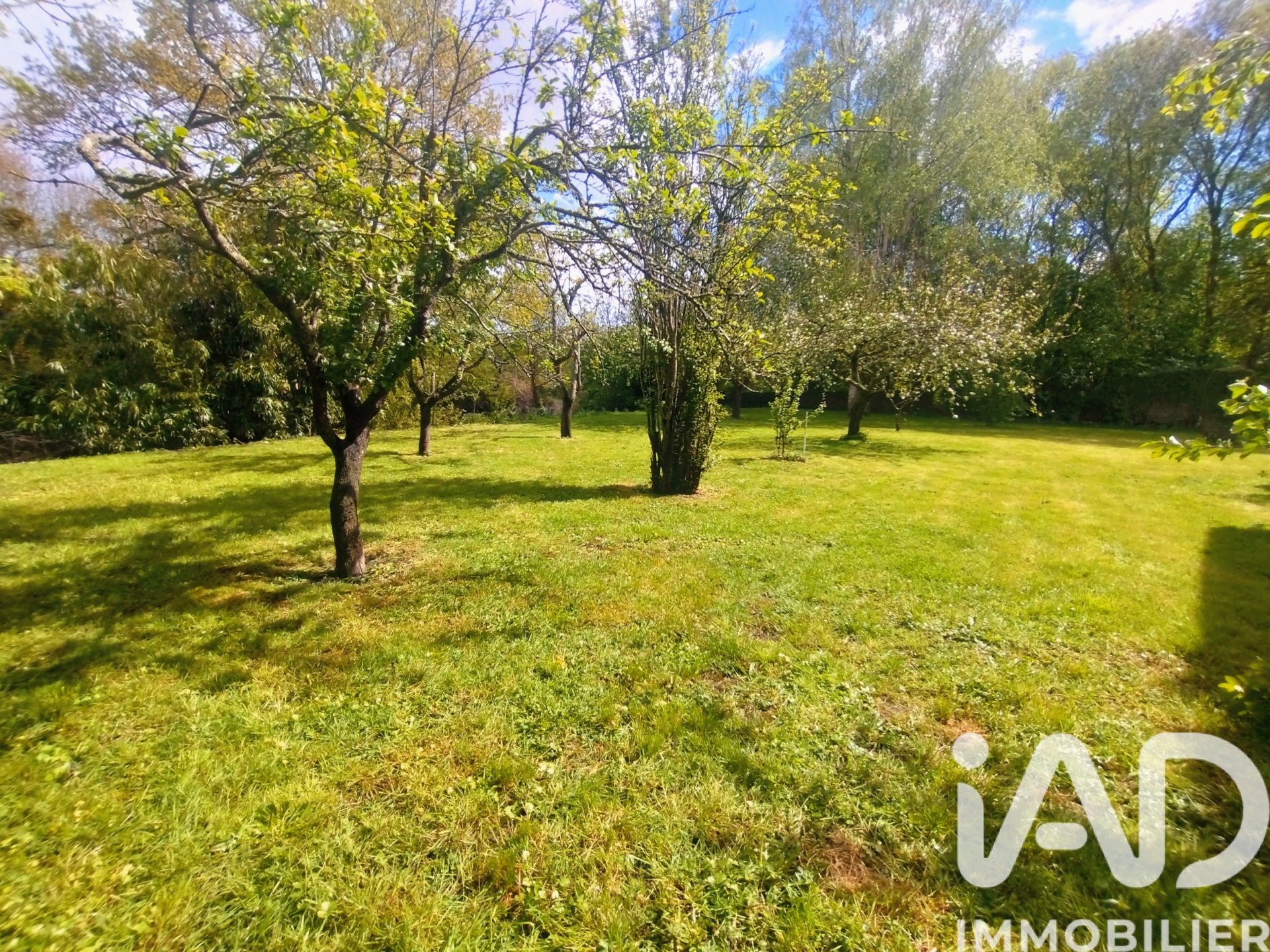 Vente maison à Assé — 23