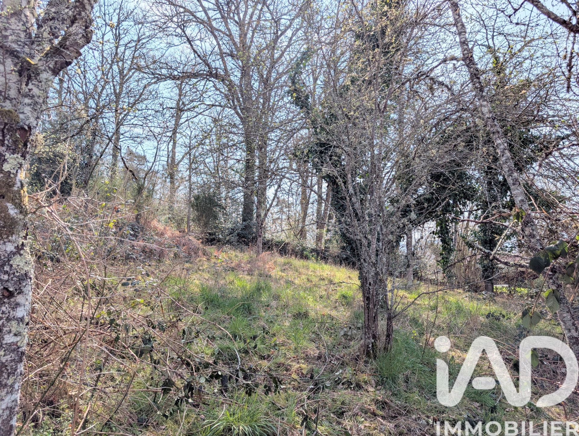 Vente maison à Saint — 24
