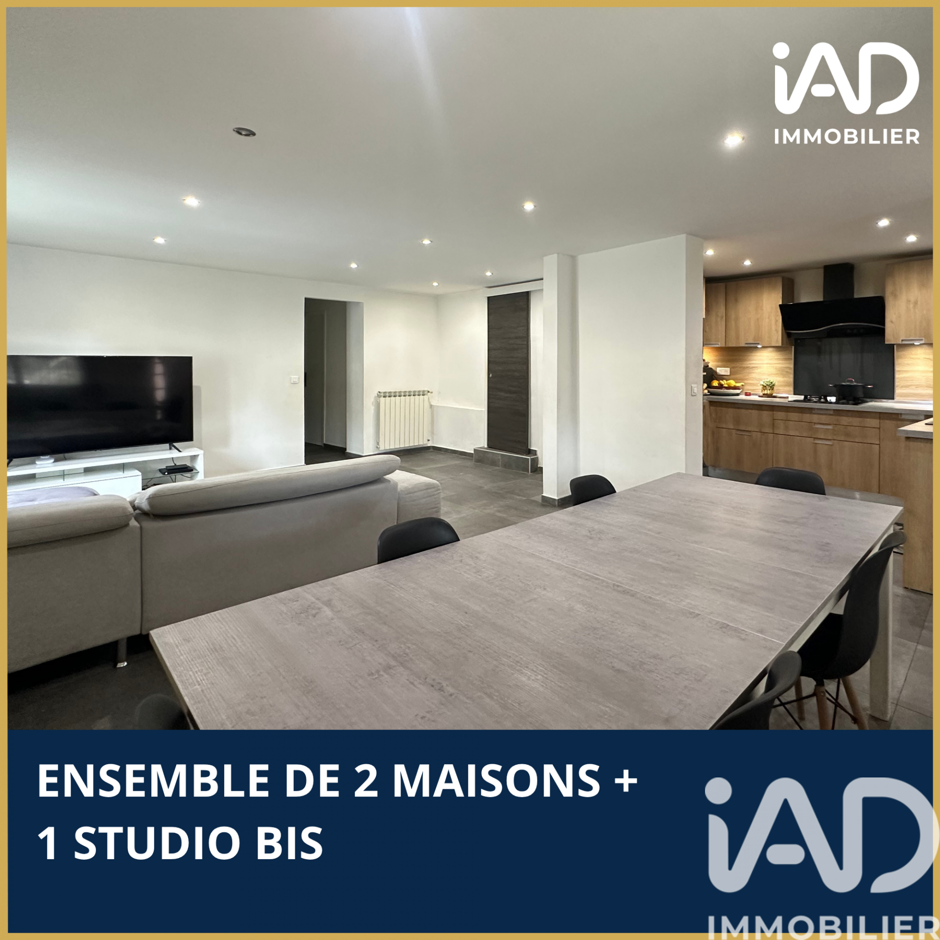 Vente Maison/villa 10 pièces