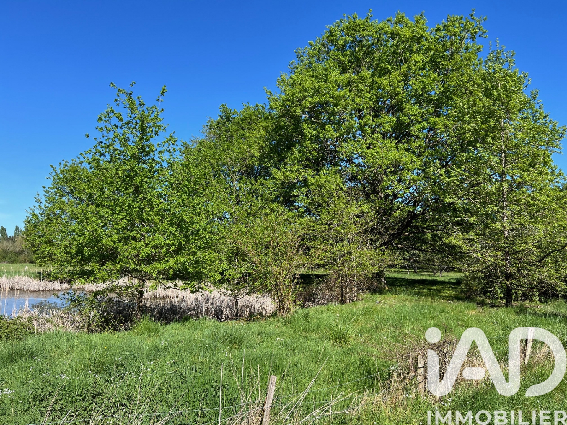 Vente Terrain à bâtir 6 056 m&sup2;