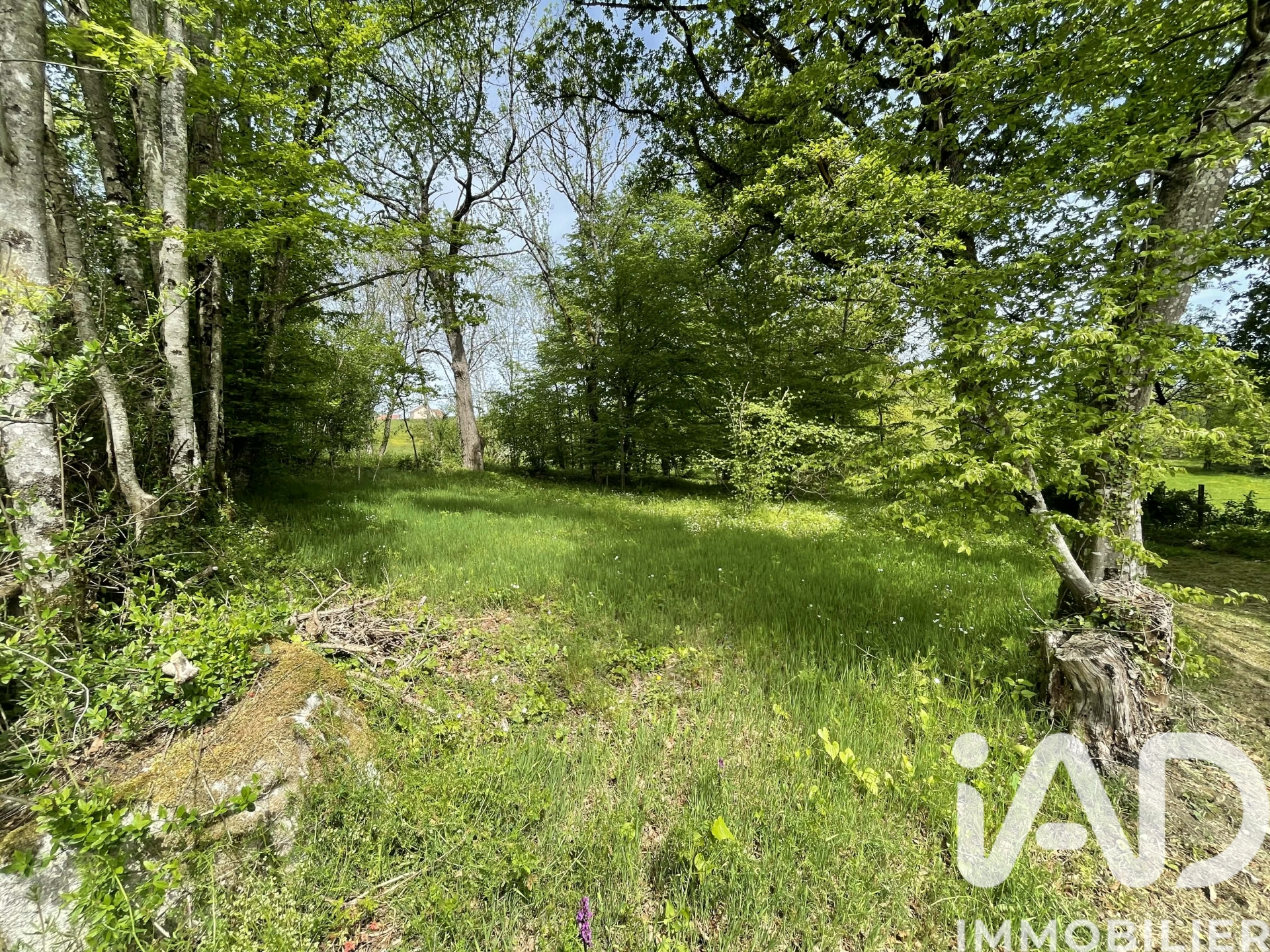 Vente Terrain 355 m&sup2;